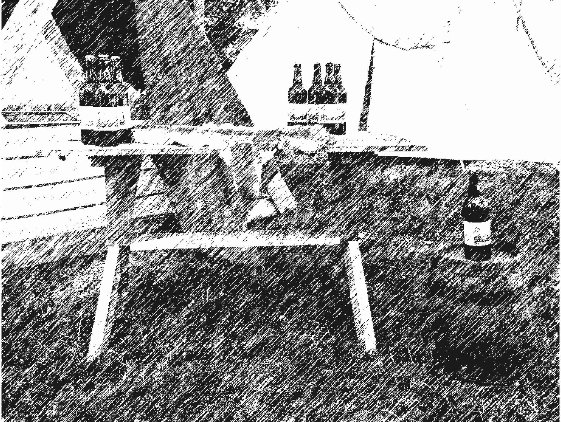 Festival Viking - image 2